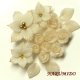 Clay Art Bead set "Poinsettia and rose"off-white color