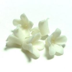 Photo1: Clay Art Bead set "Jasmine"white color 5pcs