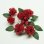 Photo1: Clay Art Bead set "Carnation"red color (1)