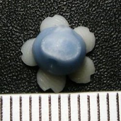 Photo3: Clay flower Cherry blossom Party type pale blue 8mm 2pcs