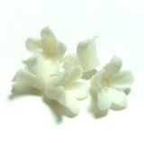 Photo: Clay Art Bead set "Jasmine"white color 5pcs