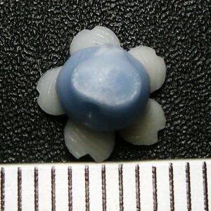 Photo3: Clay flower Cherry blossom Party type pale blue 8mm 2pcs